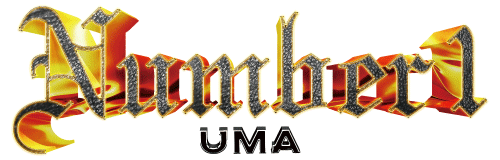 29th Tournament | Number1